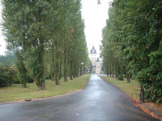 allee01.jpg