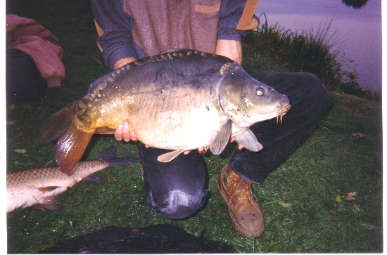 carpe01.jpg