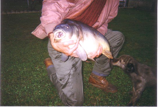carpe03.jpg
